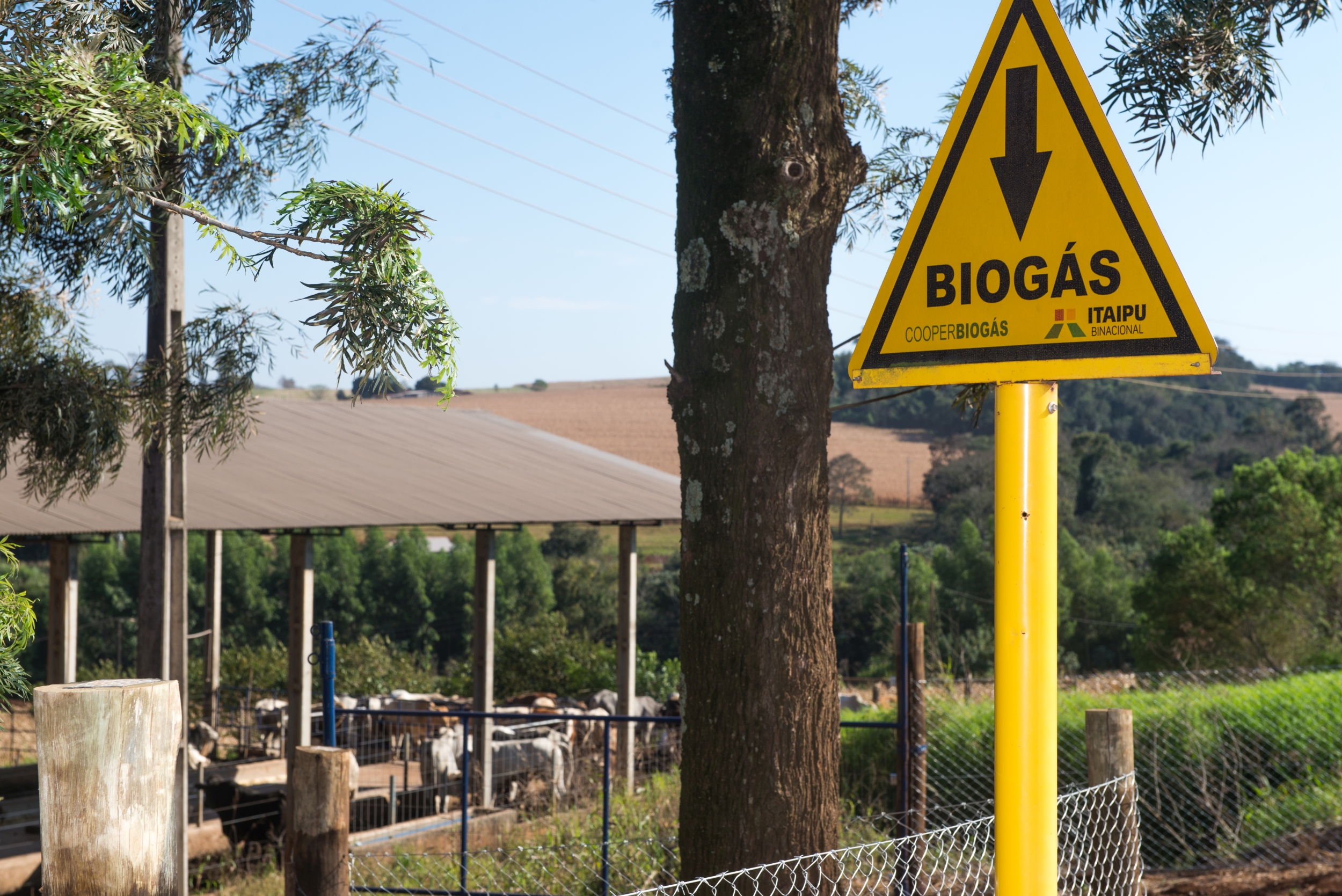 Leia mais sobre o artigo Edição 2022: inscrições já podem ser feitas