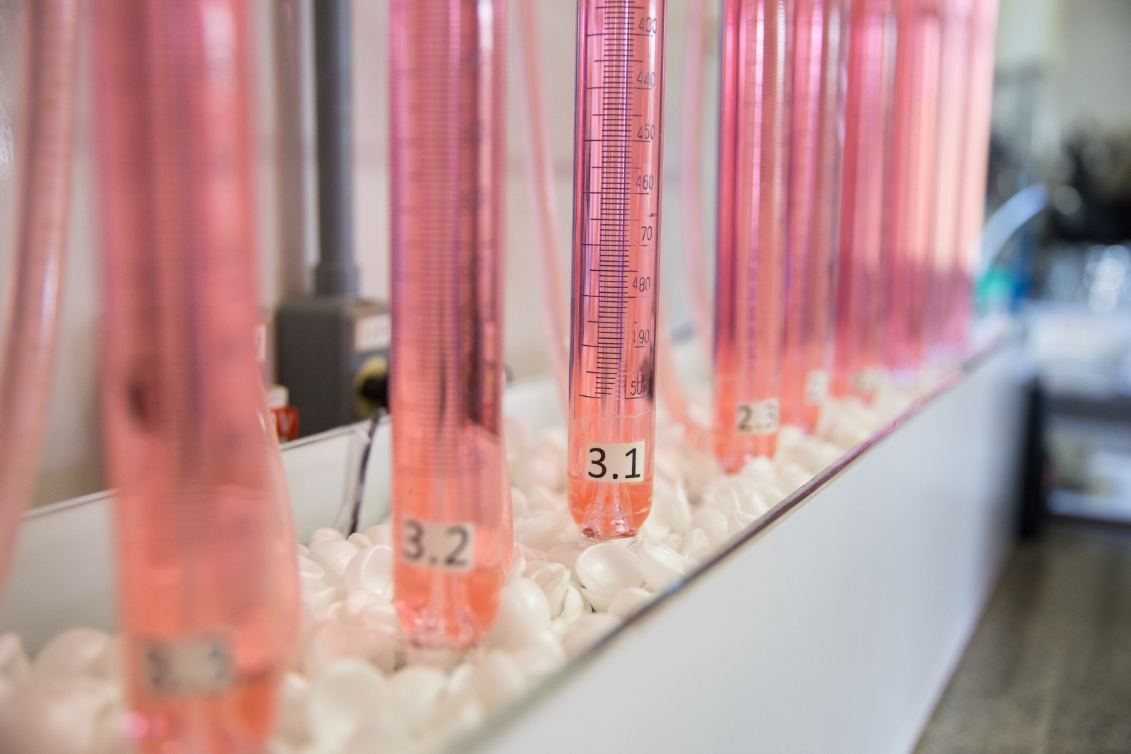 No momento você está vendo Fórum terá reunião entre Laboratórios de Biogás no dia 19 de abril, quarta-feira