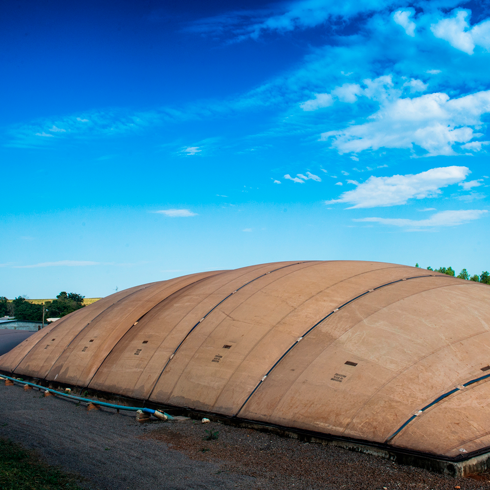 No momento você está vendo Workshop mostrará desafios e aplicações práticas para produção de biogás, biometano e digestato