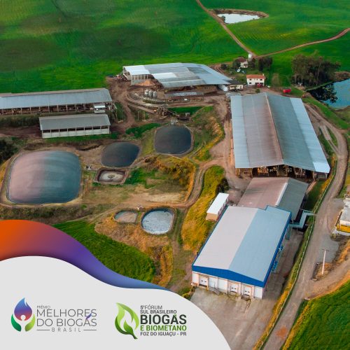 plantas _ pecuaria 2